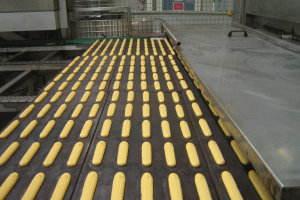 Ligne de production avec séchage thermique des produits